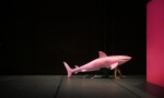 Foto: Andreas Etter