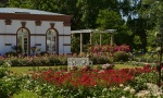 Foto: Palmengarten der Stadt Frankfurt, Tom Wolf